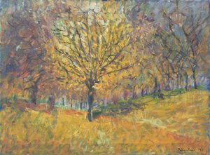 Novembre à Hyde Park, 1997 - Patricia Espir